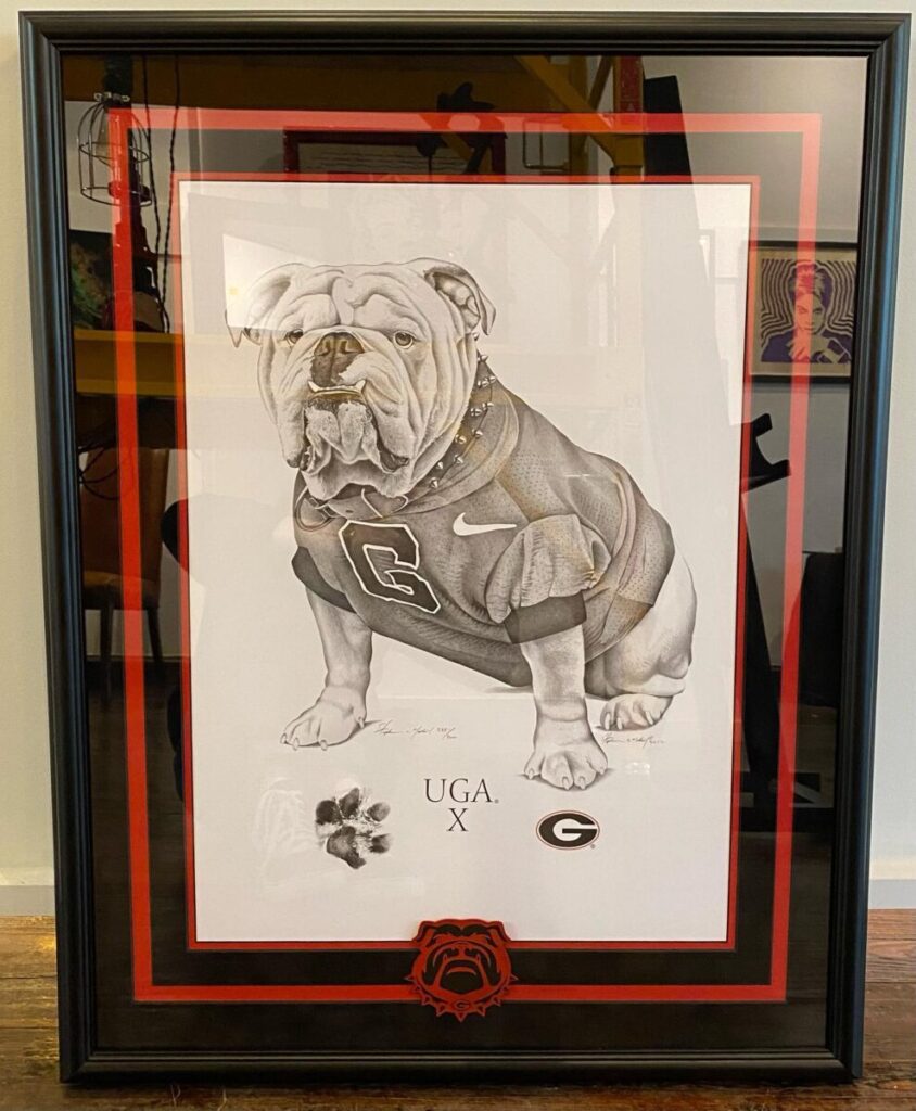 UGA bulldog framing